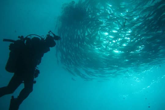 Diving in Bali