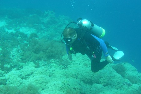 menjangan-8