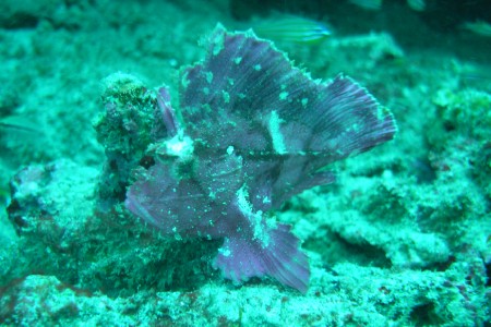 padangbai-1