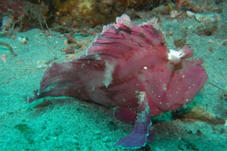 padangbai-2