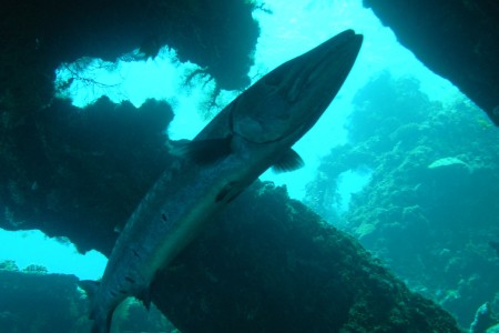tulamben-2